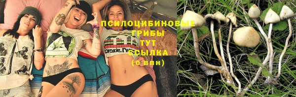 трава Богданович