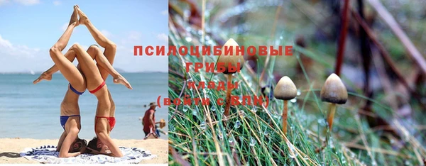 кокаин Богородицк
