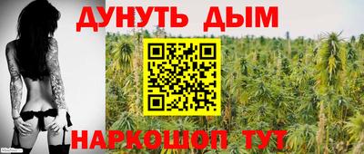 каннабис Новодвинск
