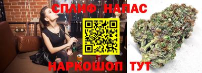 каннабис Новодвинск