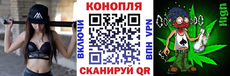 Бошки Шишки Amnesia Гулькевичи